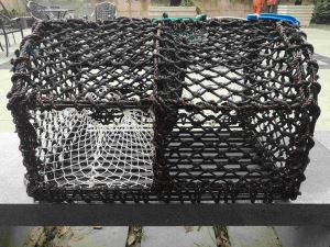 ציוד דיג סרטנים